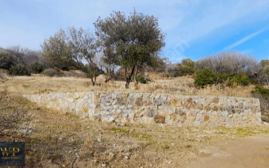İZMİR FOÇA’DA İMAR SINIRINDA TEK TAPU SATILIK ARSA