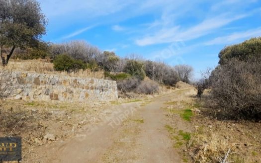 İZMİR FOÇA’DA İMAR SINIRINDA TEK TAPU SATILIK ARSA