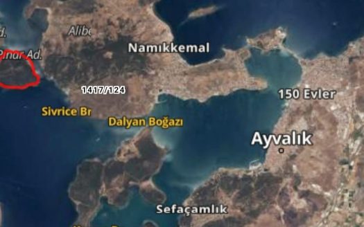 CUNDA ADASI’NDA ACİL SATILIK ZEYTİNLİK TEK TAPU ARSA