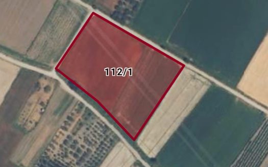 MENEMEN YANIKKÖY’DE ACİL SATILIK 2500 M2