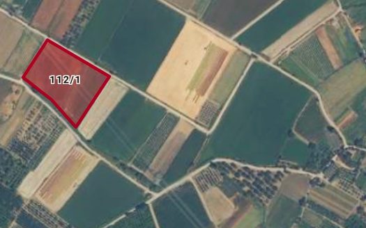 MENEMEN YANIKKÖY’DE ACİL SATILIK 2500 M2